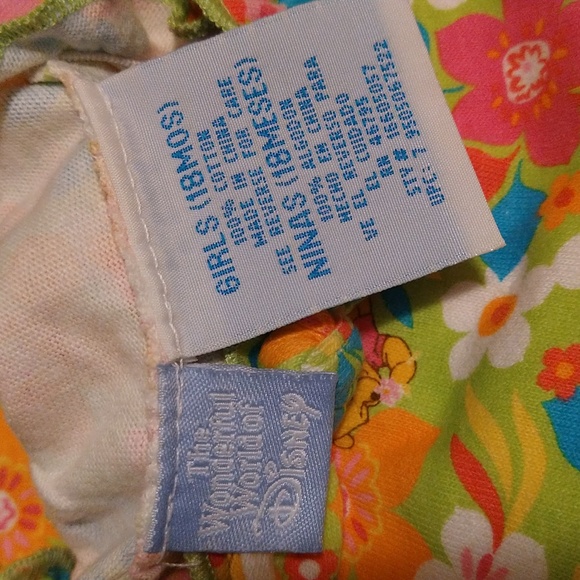 NEW- The Wonderful World of Disney Girls Dress With Winnie the Pooh, 18 months - Picture 5 of 7